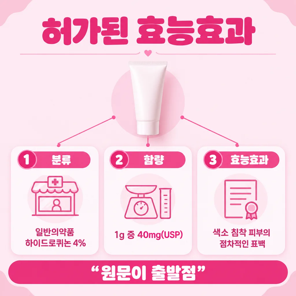 허가사항에 적힌 분류와 효능효과 문장 정리