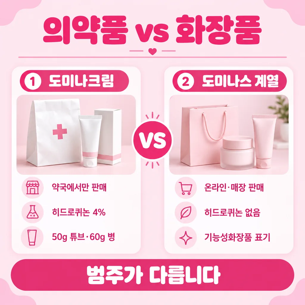 같은 이름처럼 보이는 두 물건의 범주 차이 비교