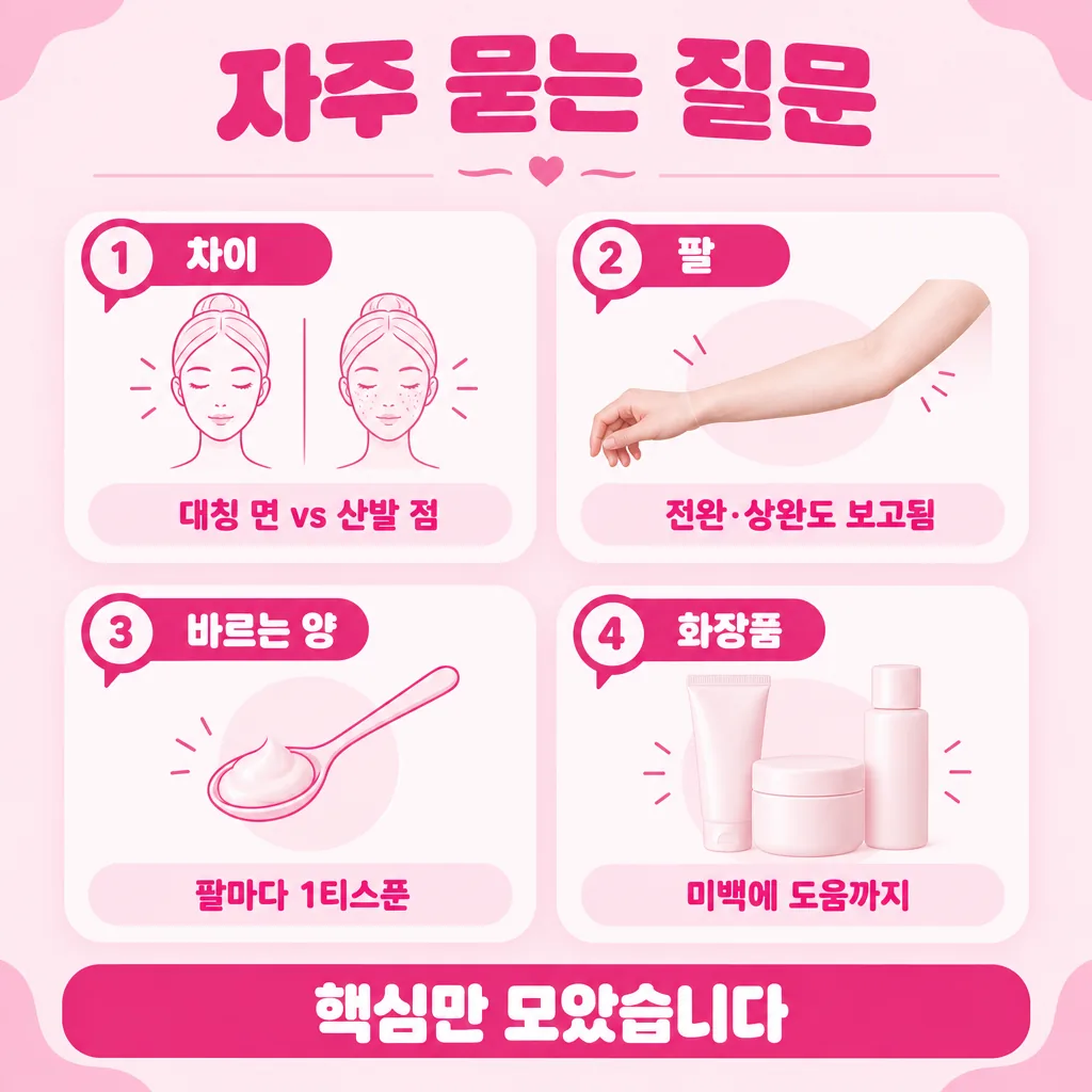 자주 묻는 네 가지 질문을 말풍선으로 묶은 요약