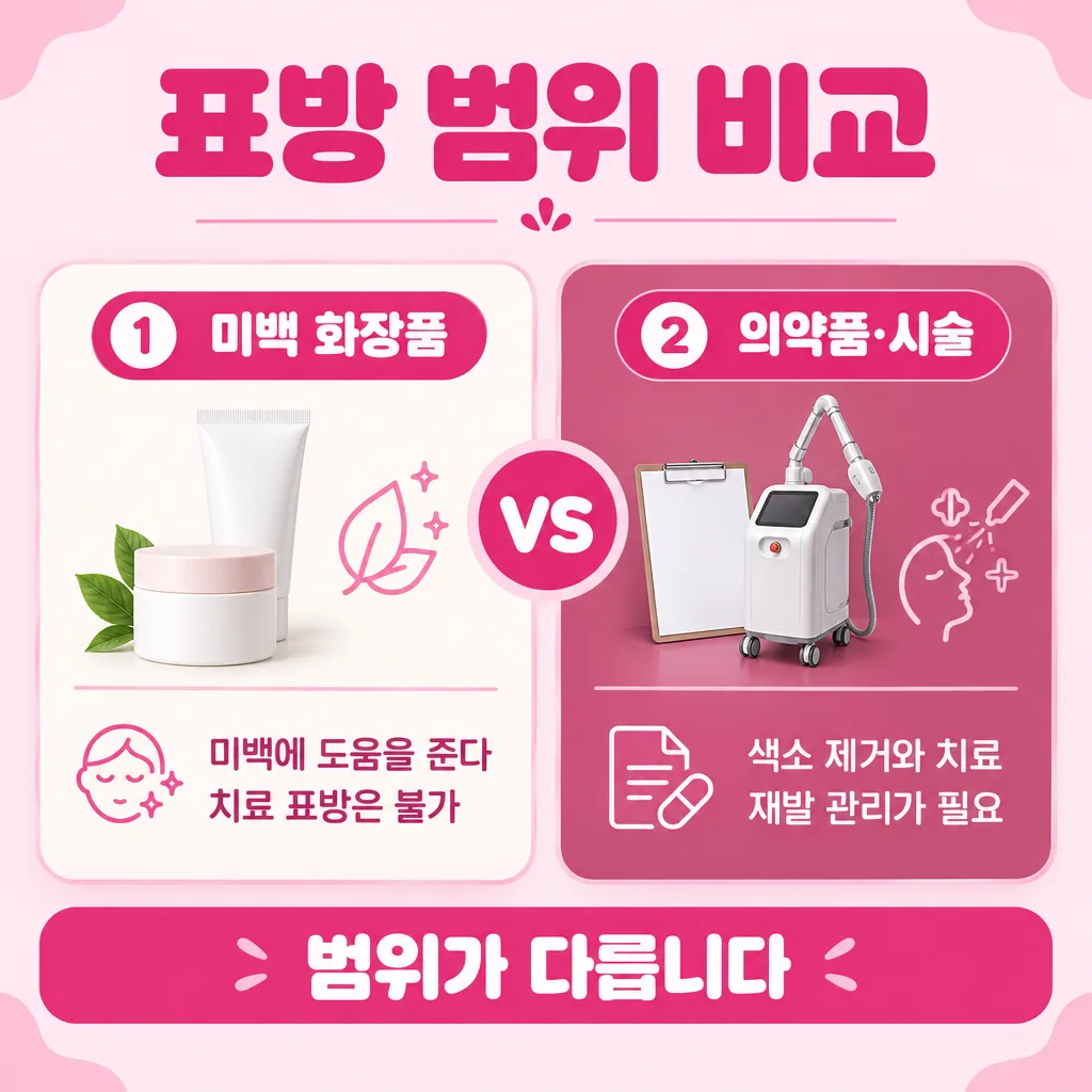 화장품과 의료 영역이 갈리는 지점을 맞세운 비교도