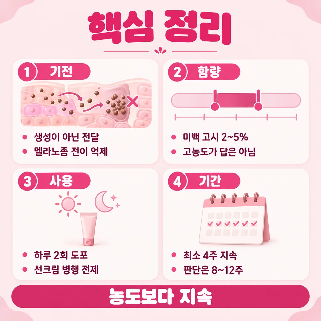비타민B3 성분의 기전·함량·사용·기간을 한 장으로 요약한 도표