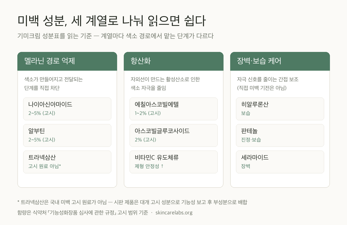 미백 성분 3계열 분류도 — 멜라닌 경로 억제(나이아신아마이드 2~5%·알부틴 2~5%·트라넥삼산), 항산화(에칠아스코빌에텔·아스코빌글루코사이드), 장벽·보습 케어(히알루론산·판테놀·세라마이드)