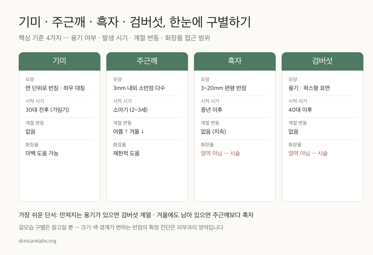 기미·주근깨·흑자·검버섯 비교 — 기미: 면 단위 대칭·30대 전후, 주근깨: 3mm 소반점·소아기·계절 변동, 흑자: 3~20mm 반점·중년 이후, 검버섯: 융기 왁스형·40대 이후·시술 영역